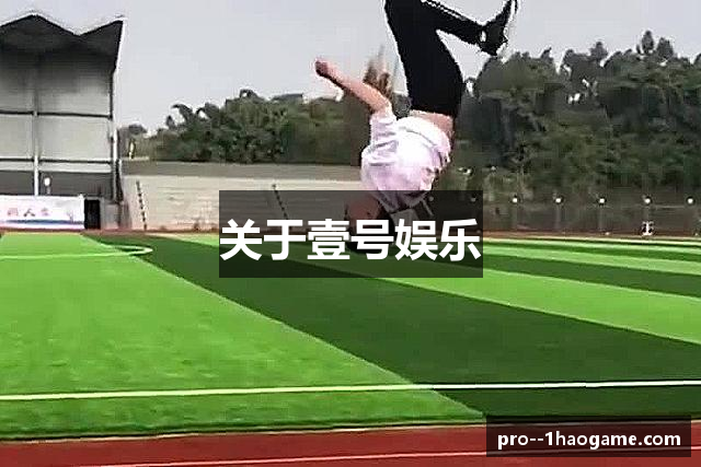 关于壹号娱乐